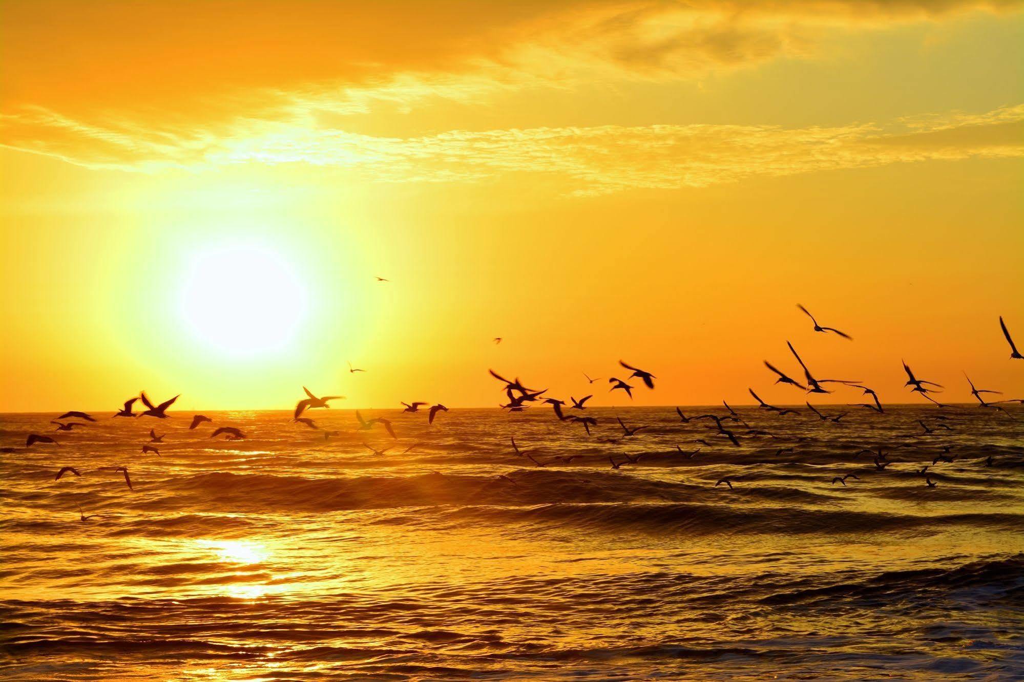 The Saint Augustine Beach House Екстер'єр фото